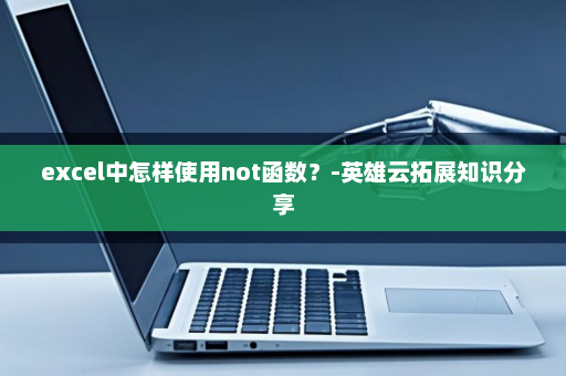 excel中怎样使用not函数？-英雄云拓展知识分享