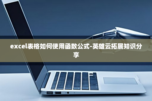 excel表格如何使用函数公式-英雄云拓展知识分享