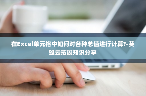 在Excel单元格中如何对各种总值进行计算?-英雄云拓展知识分享