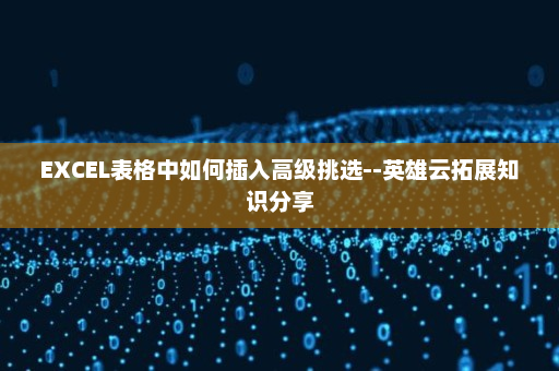 EXCEL表格中如何插入高级挑选--英雄云拓展知识分享