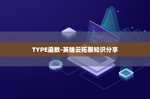 TYPE函数-英雄云拓展知识分享