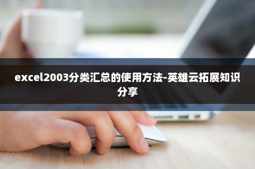 excel2003分类汇总的使用方法-英雄云拓展知识分享