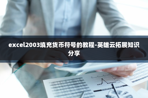 excel2003填充货币符号的教程-英雄云拓展知识分享