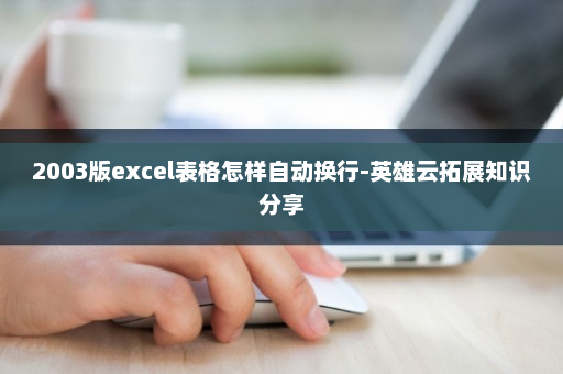 2003版excel表格怎样自动换行-英雄云拓展知识分享