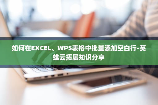 如何在EXCEL、WPS表格中批量添加空白行-英雄云拓展知识分享