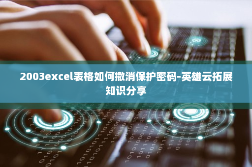 2003excel表格如何撤消保护密码-英雄云拓展知识分享