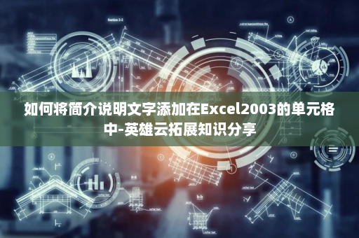 如何将简介说明文字添加在Excel2003的单元格中-英雄云拓展知识分享