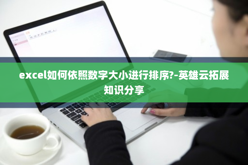 excel如何依照数字大小进行排序?-英雄云拓展知识分享