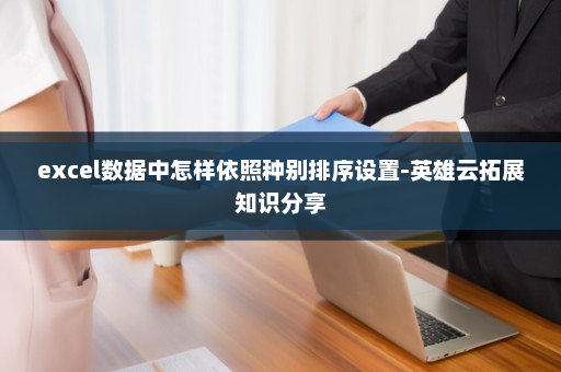 excel数据中怎样依照种别排序设置-英雄云拓展知识分享