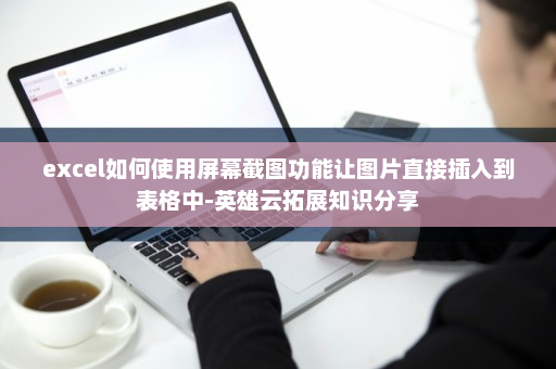 excel如何使用屏幕截图功能让图片直接插入到表格中-英雄云拓展知识分享