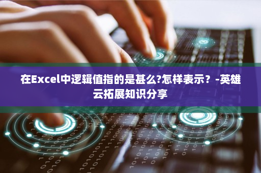 在Excel中逻辑值指的是甚么?怎样表示？-英雄云拓展知识分享