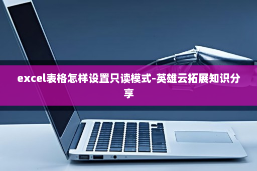 excel表格怎样设置只读模式-英雄云拓展知识分享