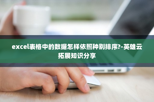 excel表格中的数据怎样依照种别排序?-英雄云拓展知识分享