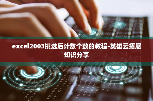 excel2003挑选后计数个数的教程-英雄云拓展知识分享