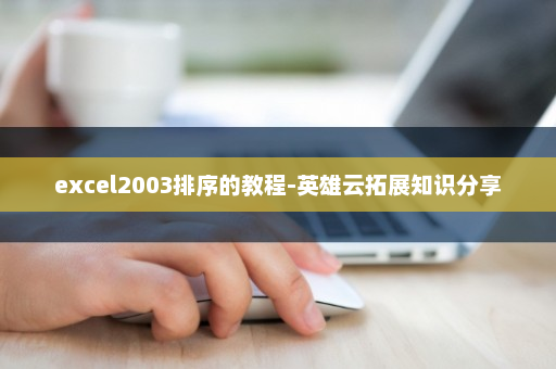 excel2003排序的教程-英雄云拓展知识分享