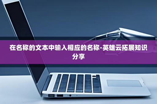在名称的文本中输入相应的名称-英雄云拓展知识分享