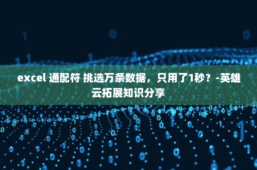 excel 通配符 挑选万条数据，只用了1秒？-英雄云拓展知识分享