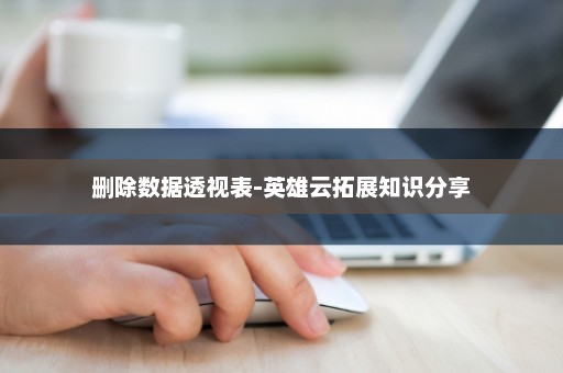 删除数据透视表-英雄云拓展知识分享