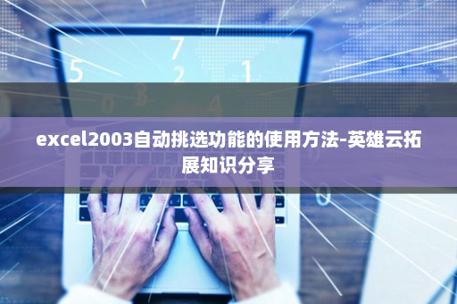 excel2003自动挑选功能的使用方法-英雄云拓展知识分享
