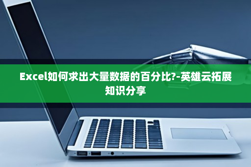 Excel如何求出大量数据的百分比?-英雄云拓展知识分享