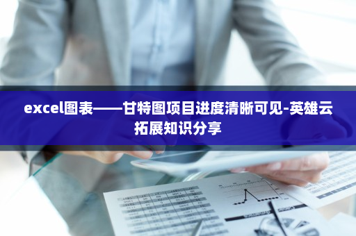 excel图表——甘特图项目进度清晰可见-英雄云拓展知识分享