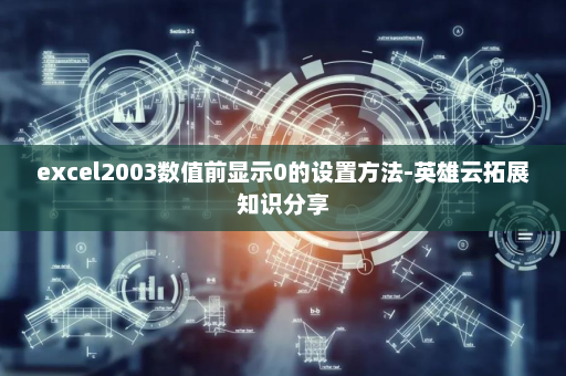 excel2003数值前显示0的设置方法-英雄云拓展知识分享