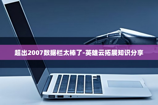 超出2007数据栏太棒了-英雄云拓展知识分享