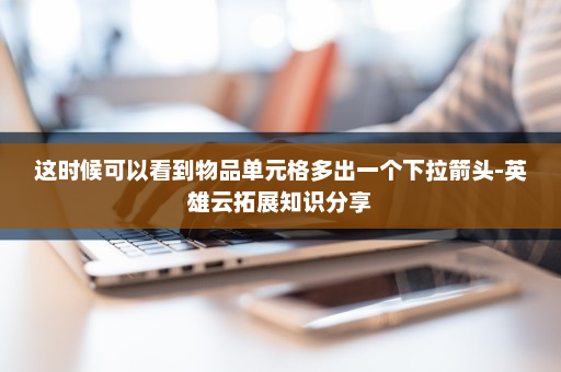 这时候可以看到物品单元格多出一个下拉箭头-英雄云拓展知识分享