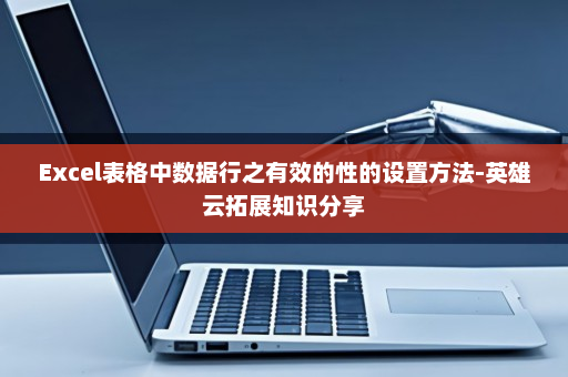 Excel表格中数据行之有效的性的设置方法-英雄云拓展知识分享