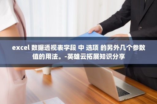 excel 数据透视表字段 中 选项 的另外几个参数值的用法。-英雄云拓展知识分享