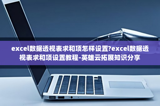 excel数据透视表求和项怎样设置?excel数据透视表求和项设置教程-英雄云拓展知识分享