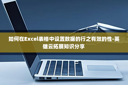 如何在Excel表格中设置数据的行之有效的性-英雄云拓展知识分享