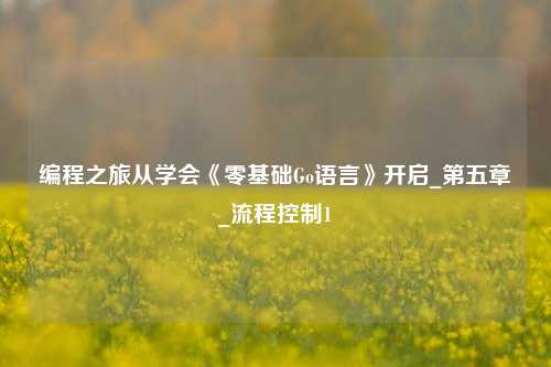 编程之旅从学会《零基础Go语言》开启_第五章_流程控制1