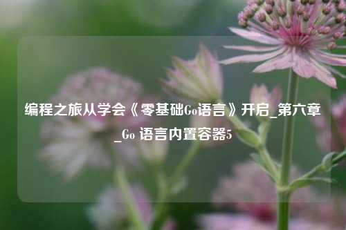 编程之旅从学会《零基础Go语言》开启_第六章_Go 语言内置容器5